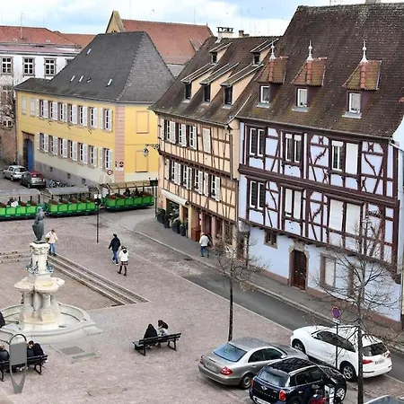 La Vie En Rose - 6p-3br Colmar