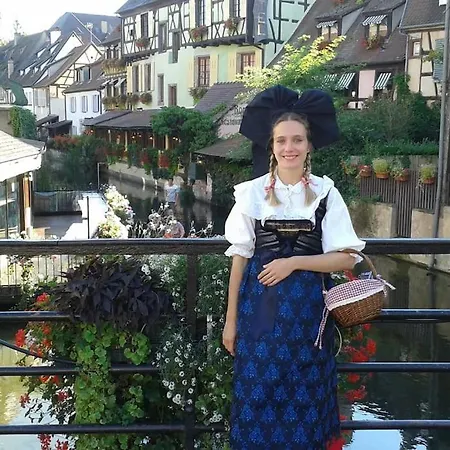 La Vie En Rose - 6p-3br * Colmar