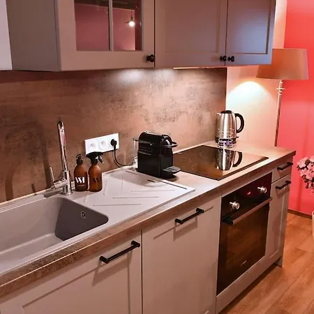 La Vie En Rose - 6p-3br Colmar